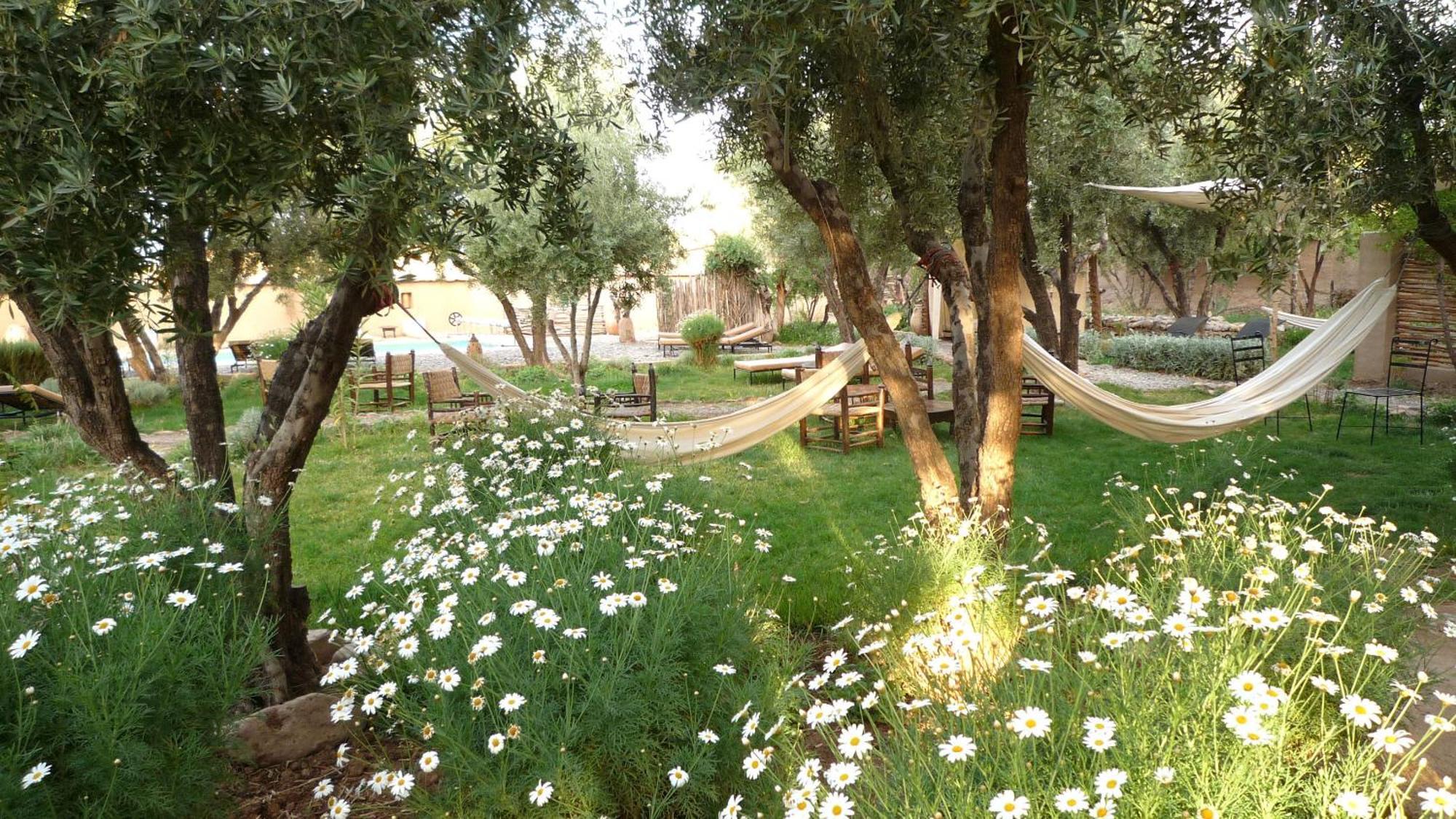 Les Jardins De Skoura Bed & Breakfast Exterior photo